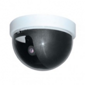 Видеокамера Everfocus ED-100-C